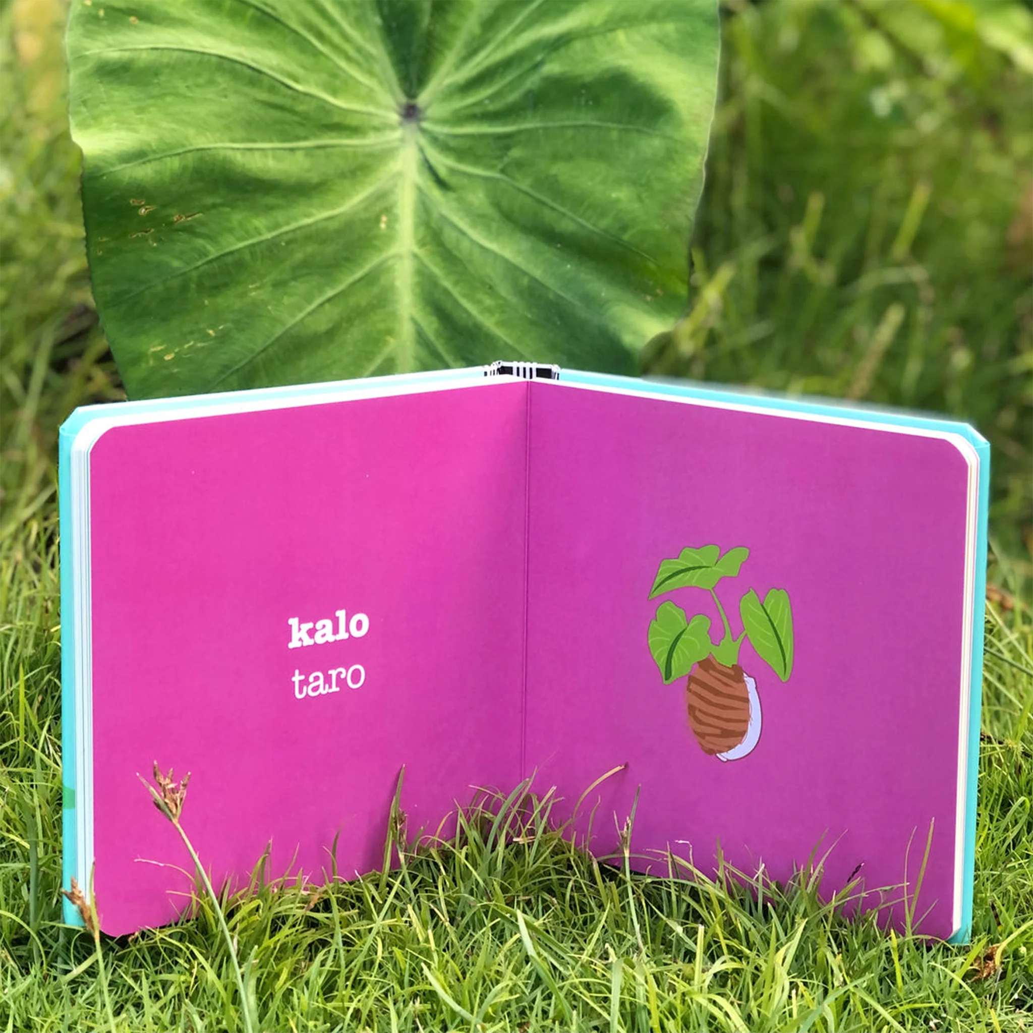Keiki Word Book - Image 2