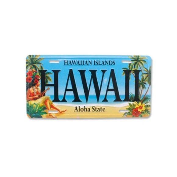 License Plate - Image 2